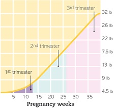 pregnancy weight gain by week